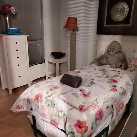 Apartamento Triplex 3 2 Banos Terraza Sabiñánigo
